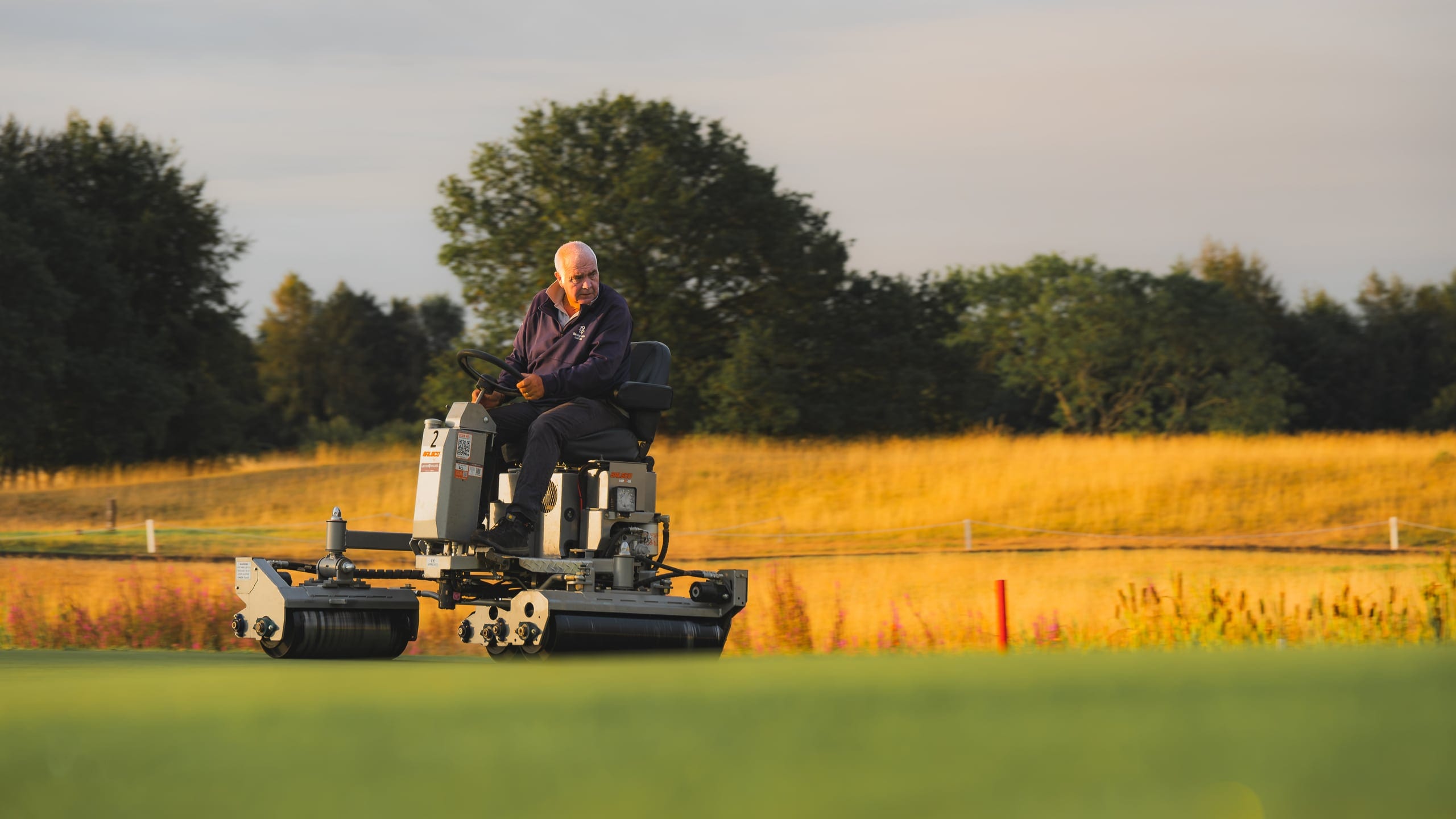 A greenkeeper on a triple mower cutting through golden grass