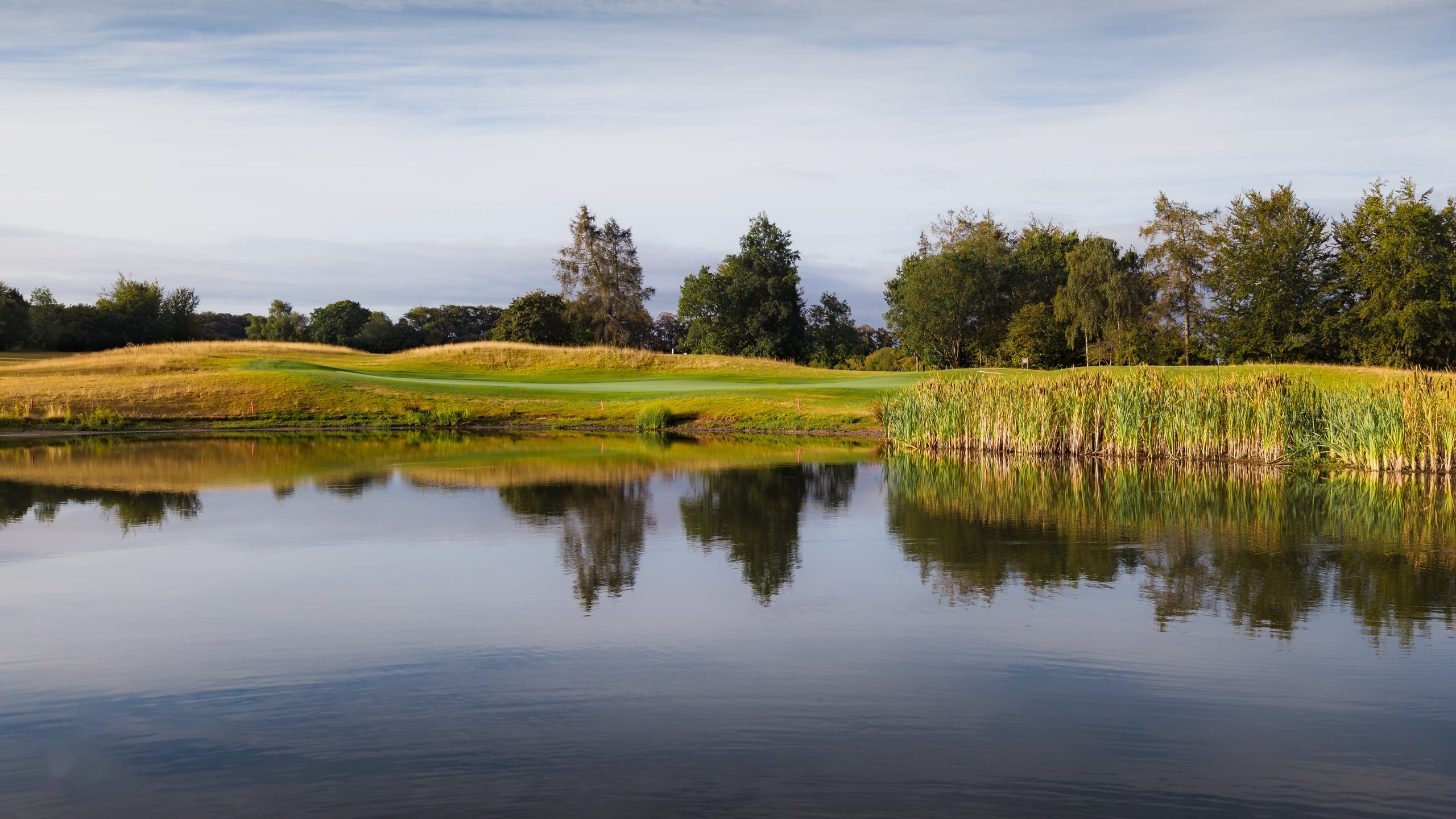 Reeds and open water under a clear sky