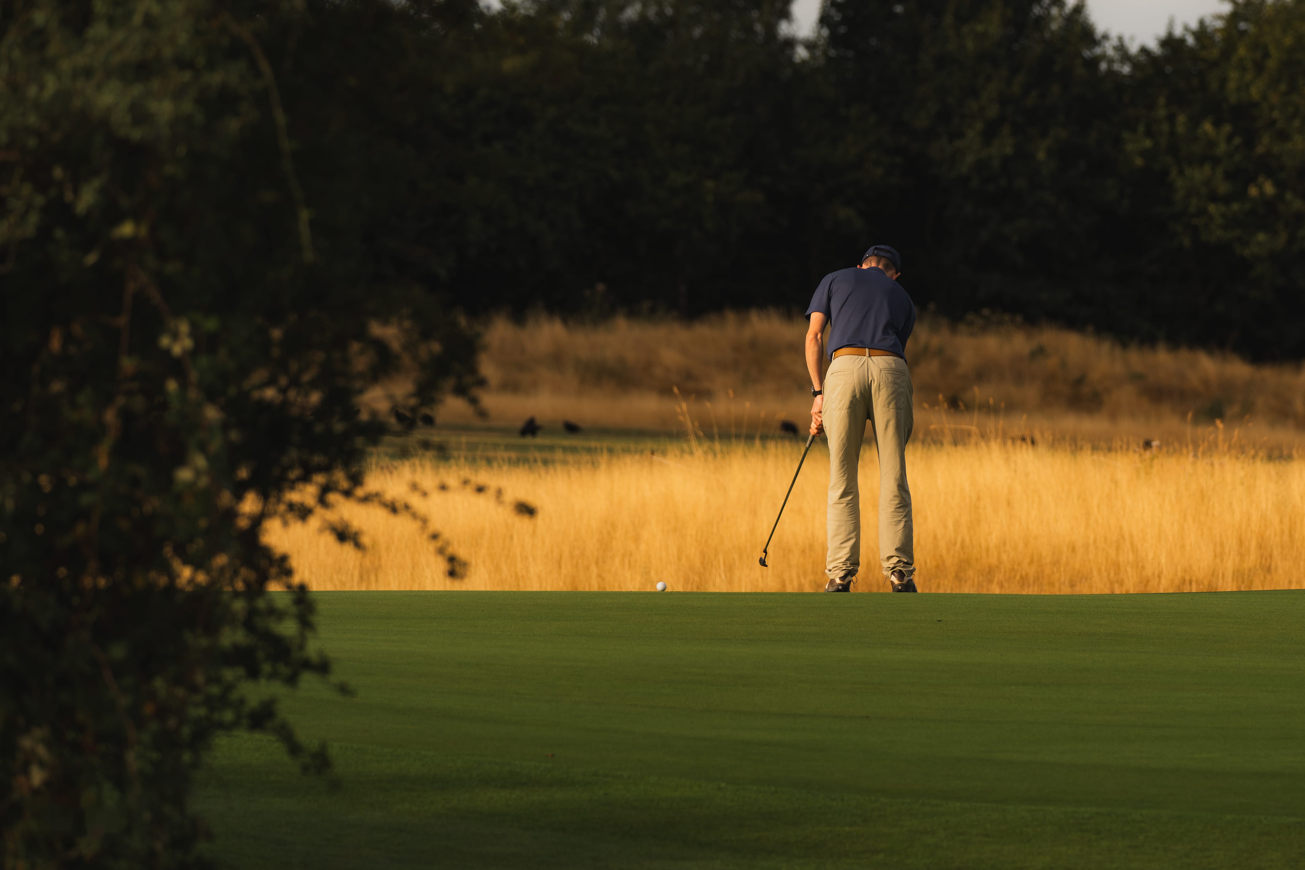 A golfer putting on a green backed by trees in autumn colour