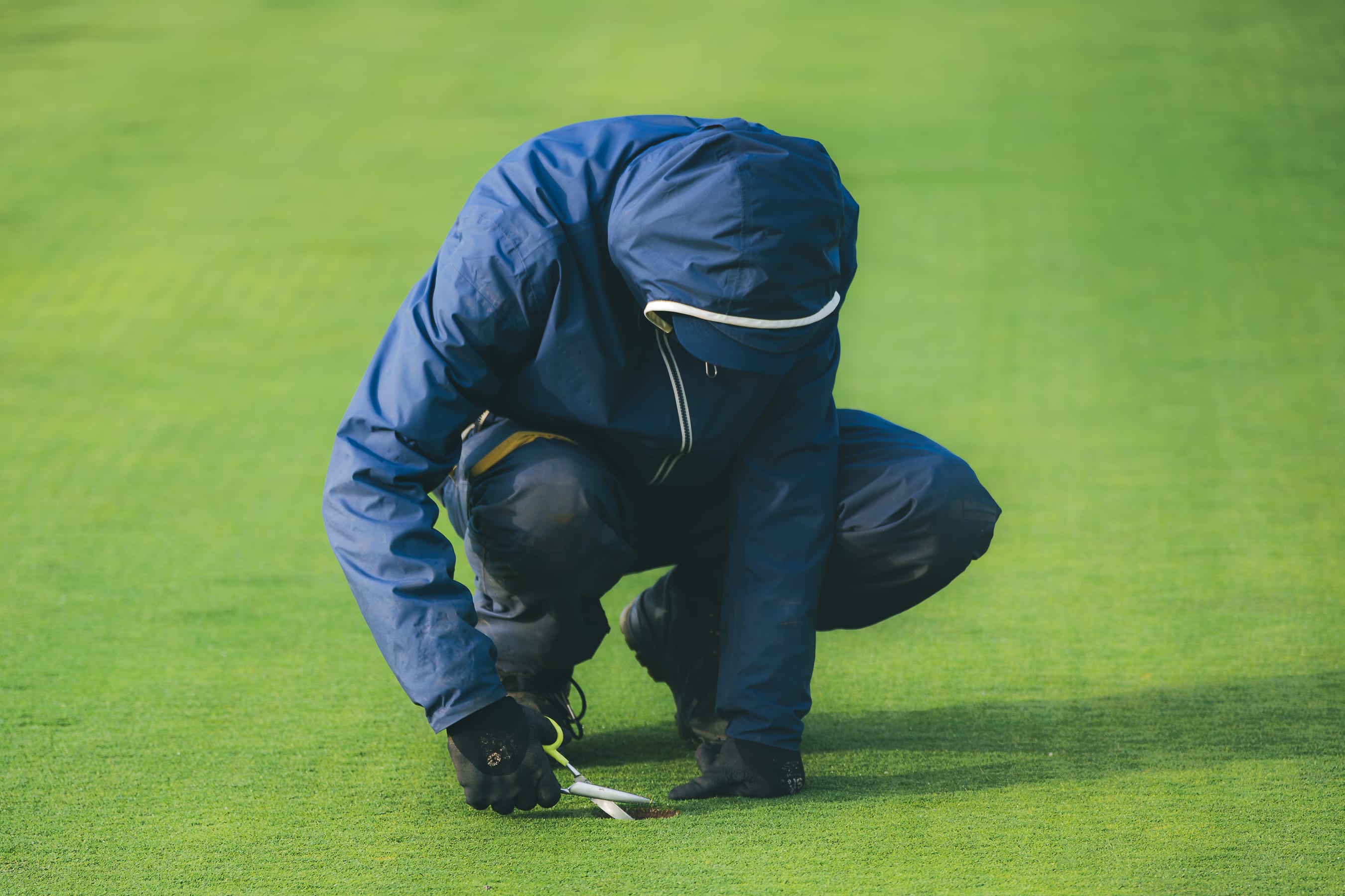 A greenkeeper trimming the edge of the cup with scissors, close up