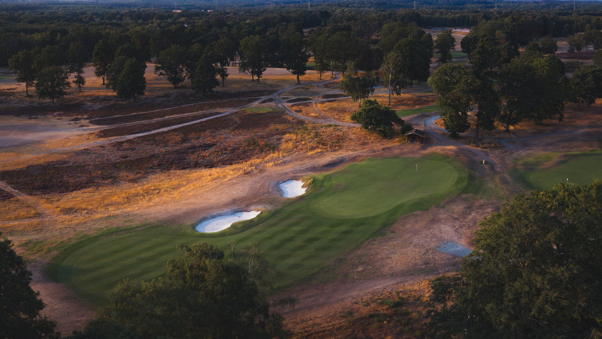 Aerial view of a green flanked by bunkers, autumn colour in the trees