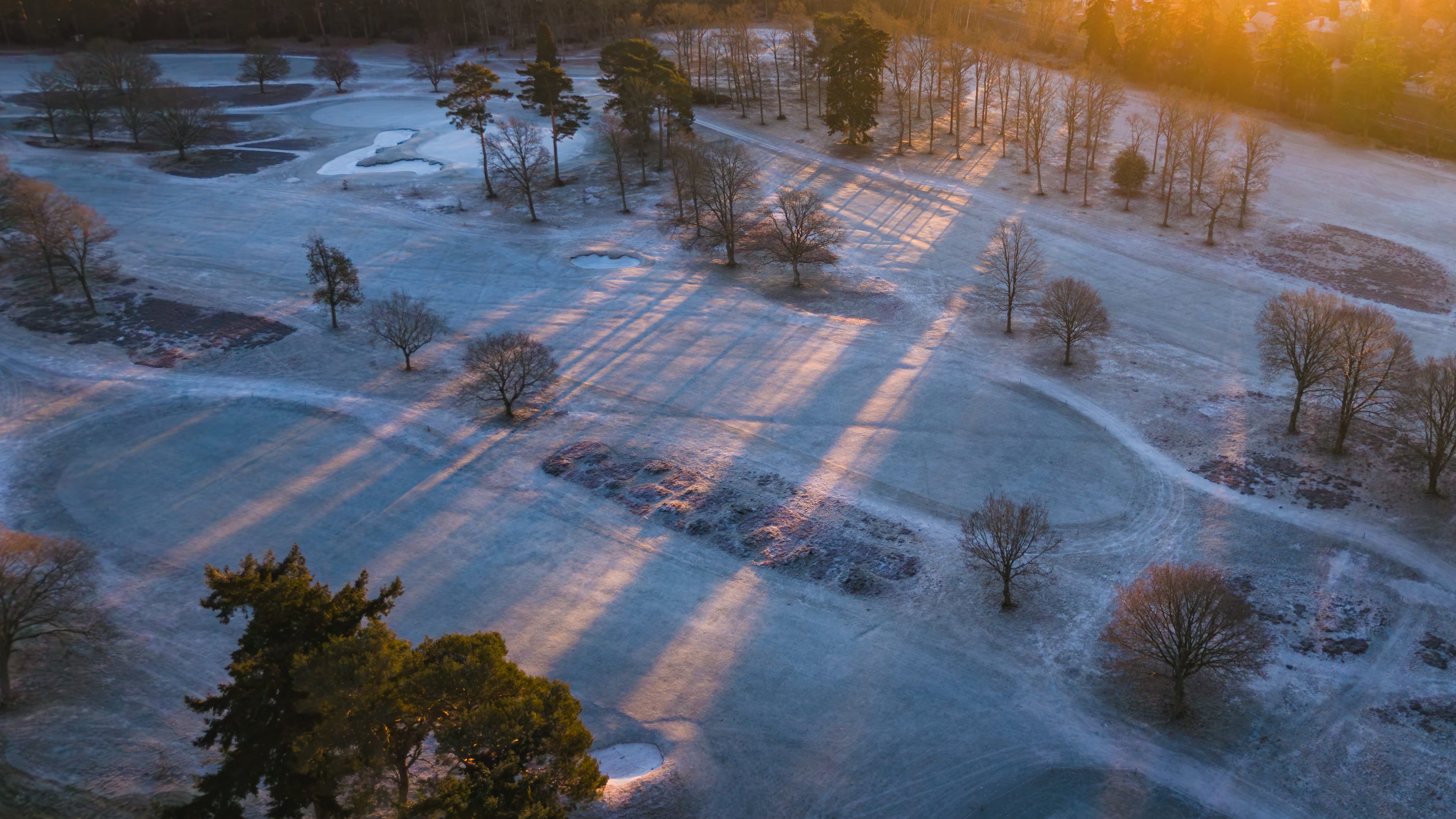 Long tree shadows raking across a frosted fairway at sunrise