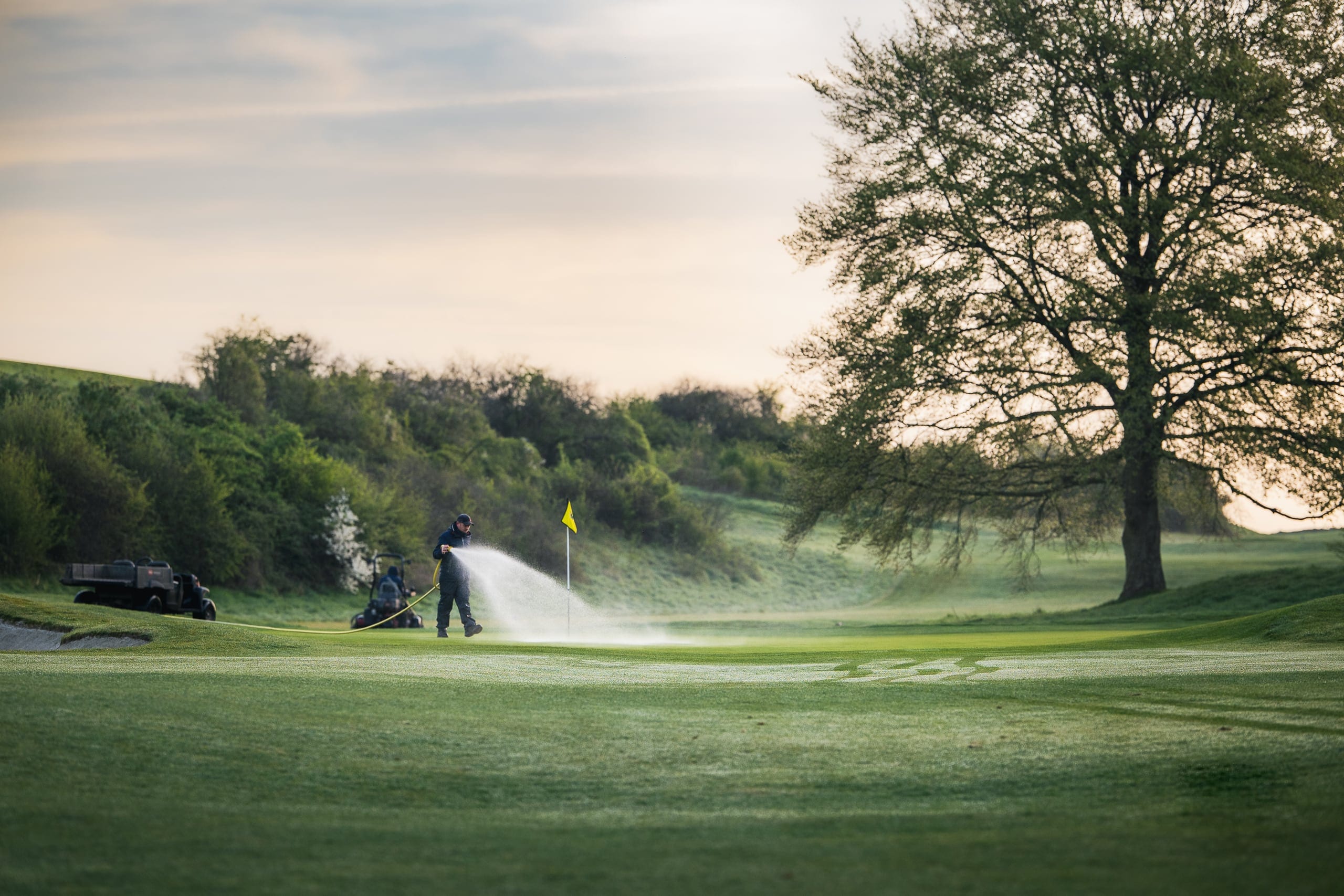 Renovation work and new growth on the course in spring