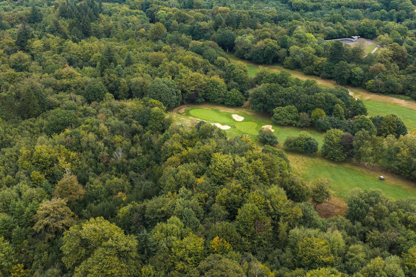 Aerial view of parkland fairways between the trees