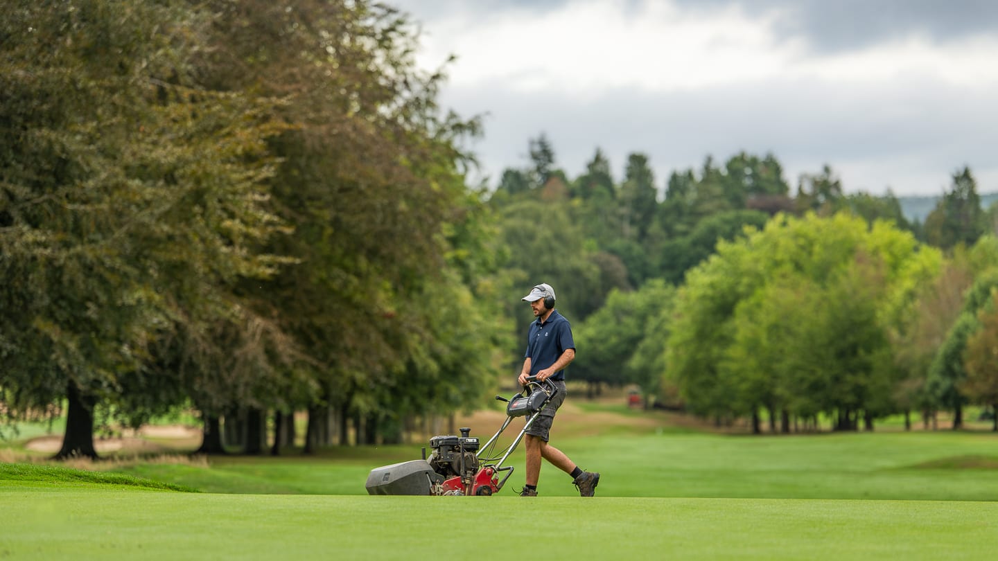 A greenkeeper mowing a green, framed by the mature parkland trees at Wildernesse
