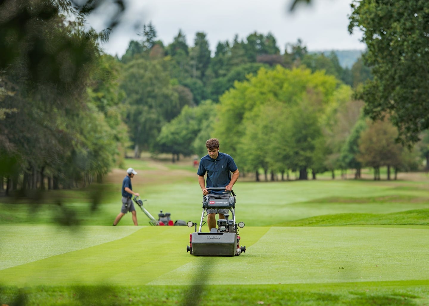A greenkeeper mowing a green framed by mature trees